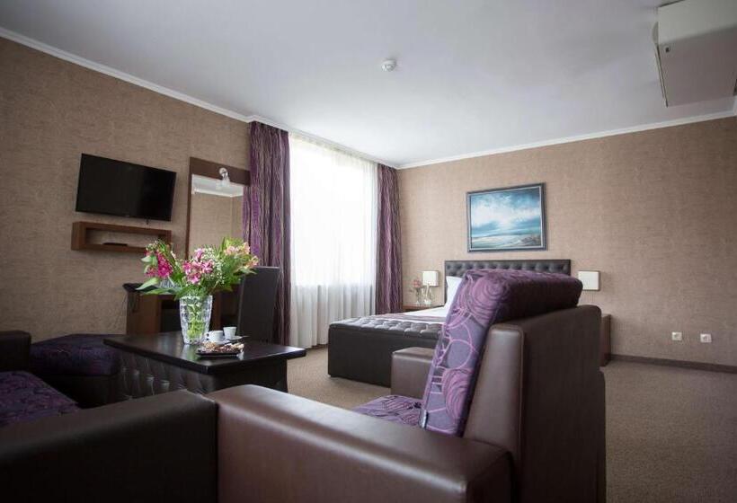 小型豪华套房, Spa Hotel Spartak