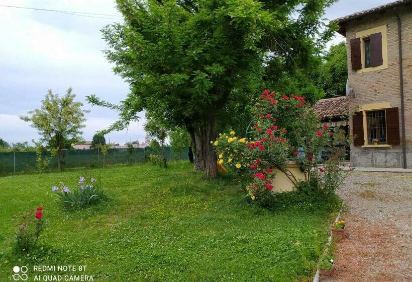 デラックスルーム, La Rosa Selvatica