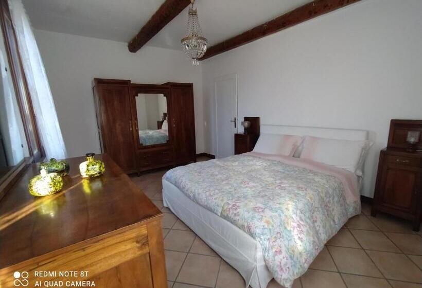 スタンダード４人部屋, La Rosa Selvatica