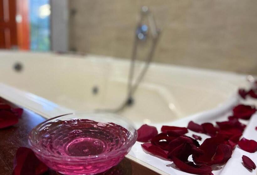 Номер Стандарт с Гидромассажем, Las Palmeras Gachancipa