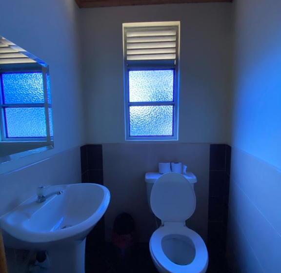 Номер Стандарт, Las Palmeras Gachancipa