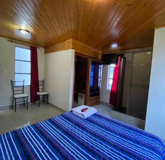 Номер Стандарт, Las Palmeras Gachancipa