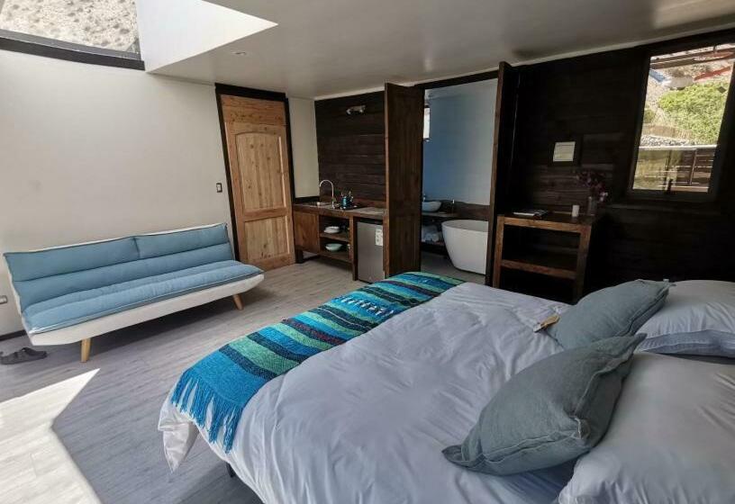 キングサイズベッドのスタンダードルーム, Reset Elqui