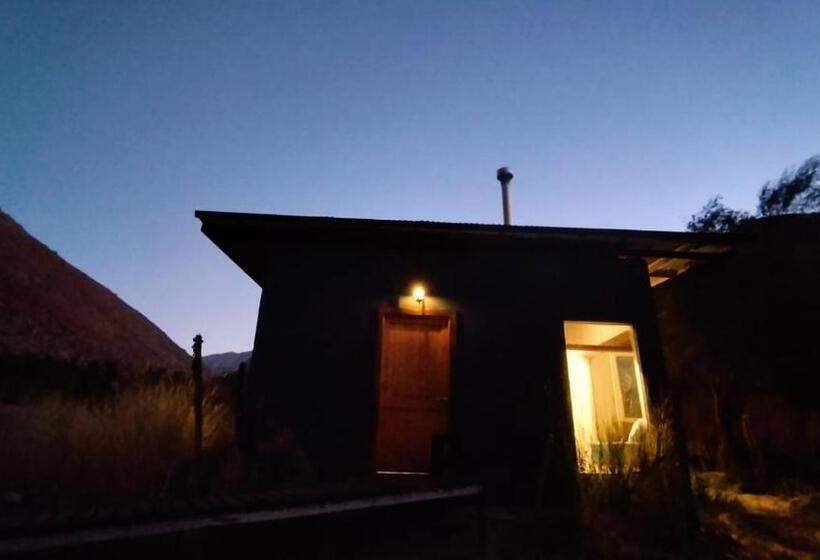 家族用バンガロー, Reset Elqui