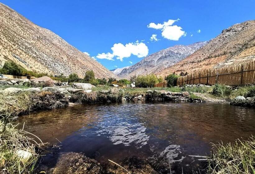 家族用バンガロー, Reset Elqui