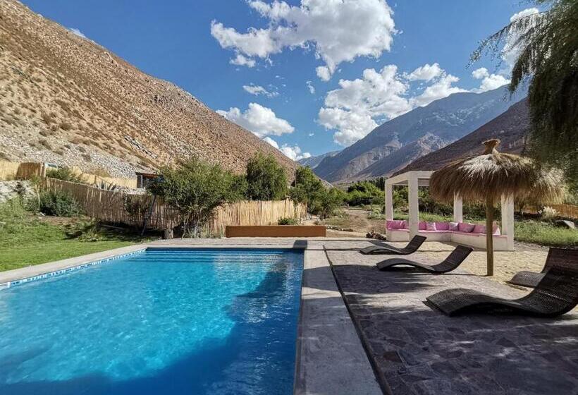 家族用バンガロー, Reset Elqui