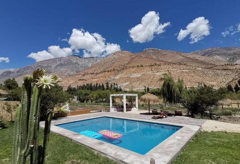 家族用バンガロー, Reset Elqui