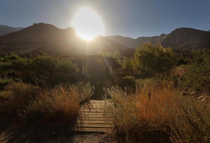Семейное Бунгало, Reset Elqui