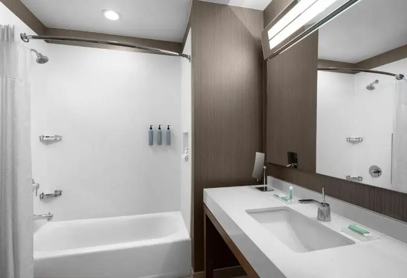 スタンダードルーム, Courtyard By Marriott Salt Lake City Cottonwood