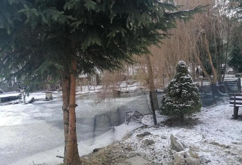 اتاق استاندارد با چشم‌انداز دریاچه, Pensiunea Perla Maramuresului