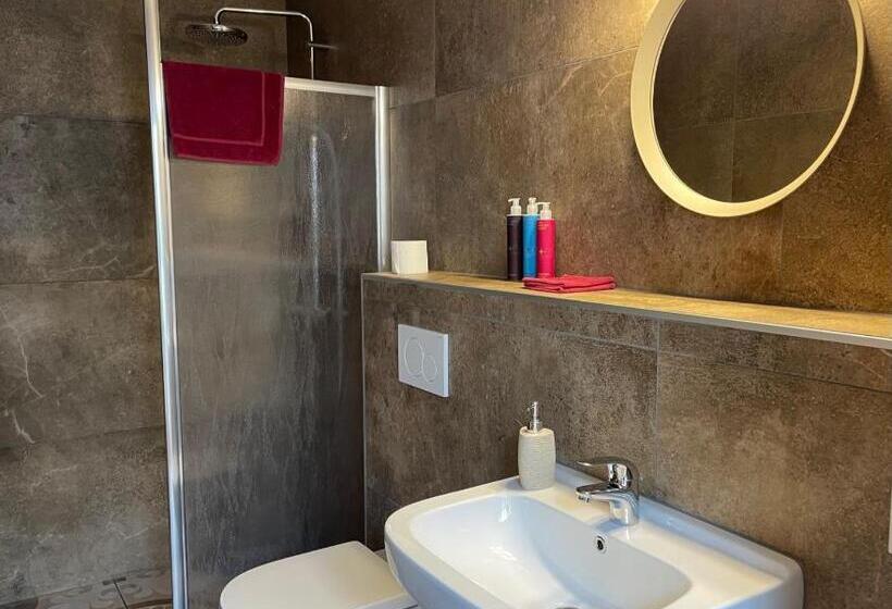 اتاق استاندارد با تخت بزرگ, Villa Blauwhemel Diever