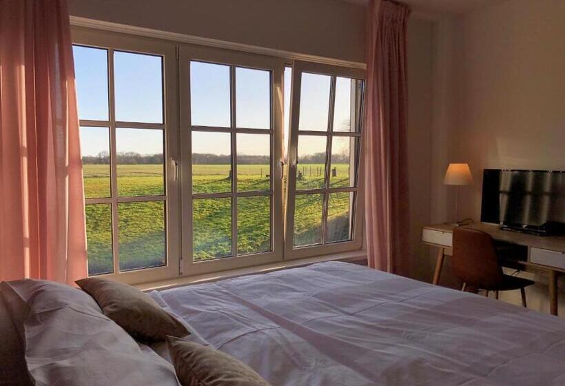 اتاق استاندارد با تخت بزرگ, Villa Blauwhemel Diever