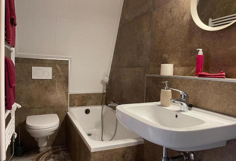 اتاق لوکس با تخت بزرگ, Villa Blauwhemel Diever