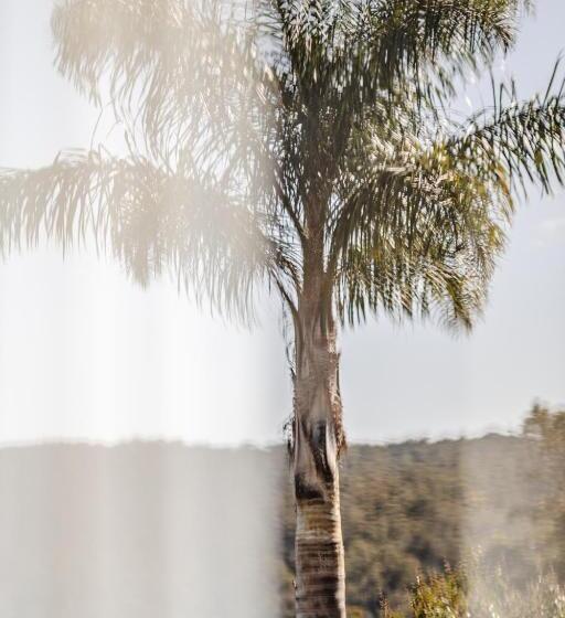 חדר סטנדרט עם מיטת קינג, Hillcrest Merimbula