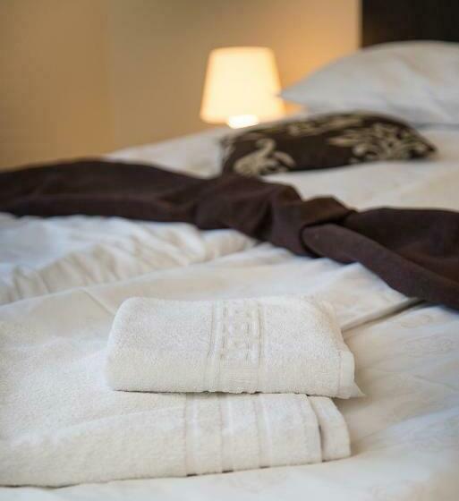 חדר סטנדרט עם טרסה, Pensiunea Casa Cu Flori