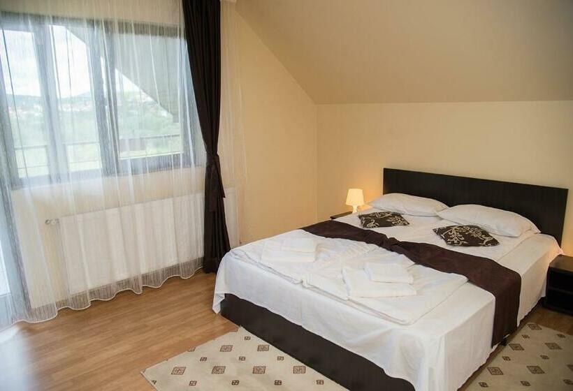 Номер Стандарт с Террасой, Pensiunea Casa Cu Flori