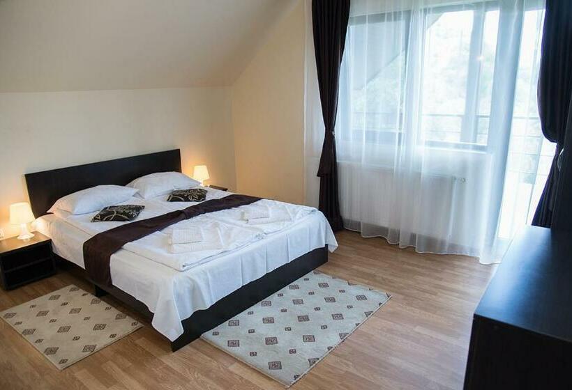 חדר סטנדרט עם טרסה, Pensiunea Casa Cu Flori