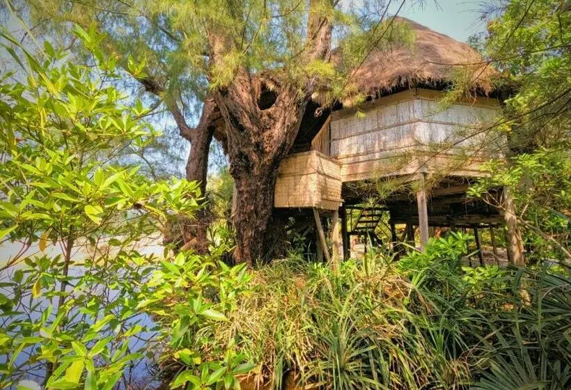 デラックスバンガロー, Kactus Eco Resort & Wellness On Kohtakiev Island