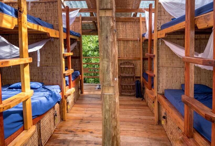 ルームシェアのワンベッド, Kactus Eco Resort & Wellness On Kohtakiev Island