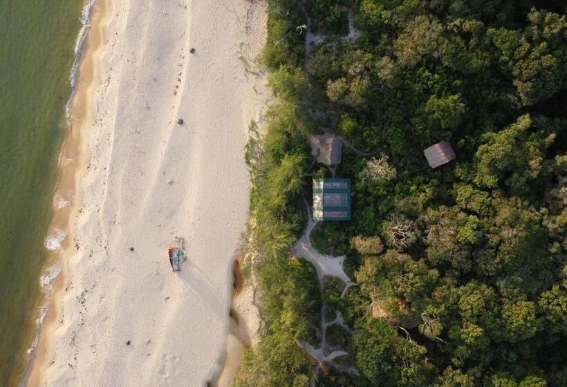 ルームシェアのワンベッド, Kactus Eco Resort & Wellness On Kohtakiev Island