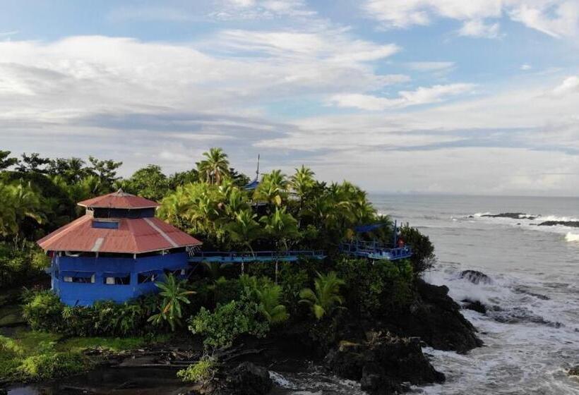 Chambre Deluxe Vue Mer, The Hill B&b