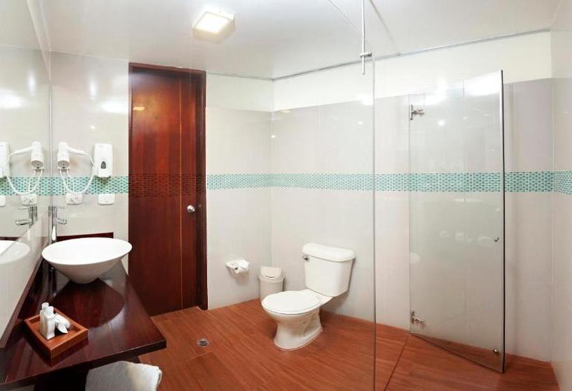 高级大房间, Loft