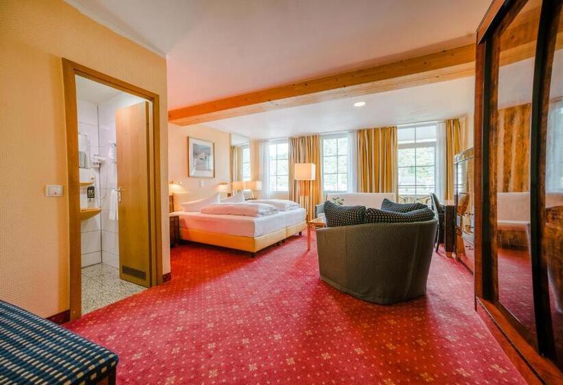 스탠다드 전망 룸, Rheinfels