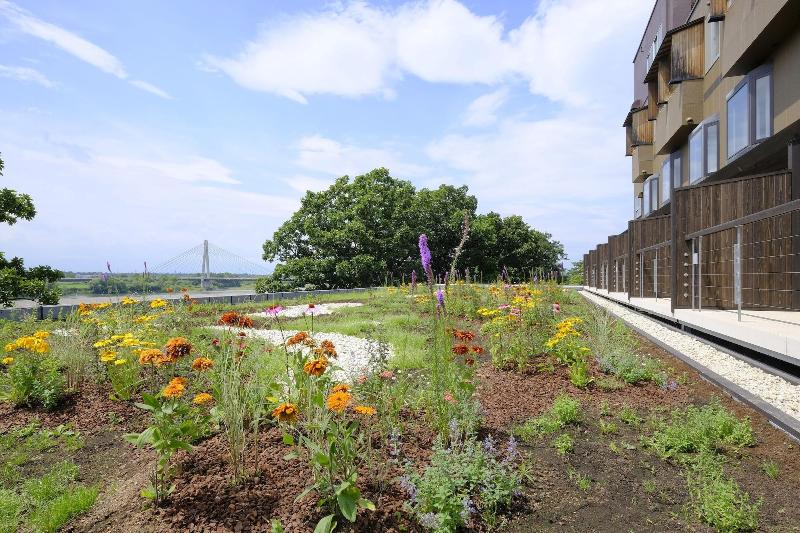 חדר סטנדרט נוף לנהר, Kangetsuen