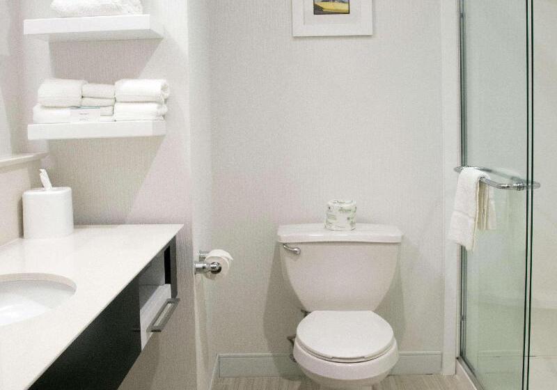 キングサイドベッドのスタンダードワンルーム, Embassy Suites By Hilton Charleston Harbor Mt. Pleasant