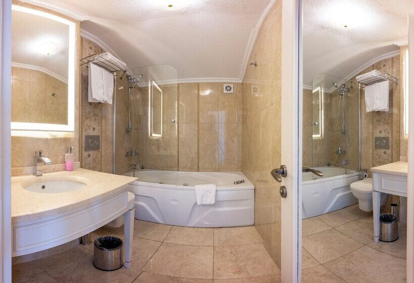 اتاق لوکس, Arden City Hotel Special Category