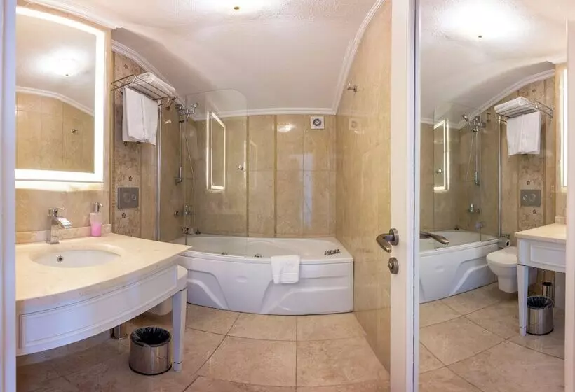 اتاق لوکس, Arden City Hotel Special Category