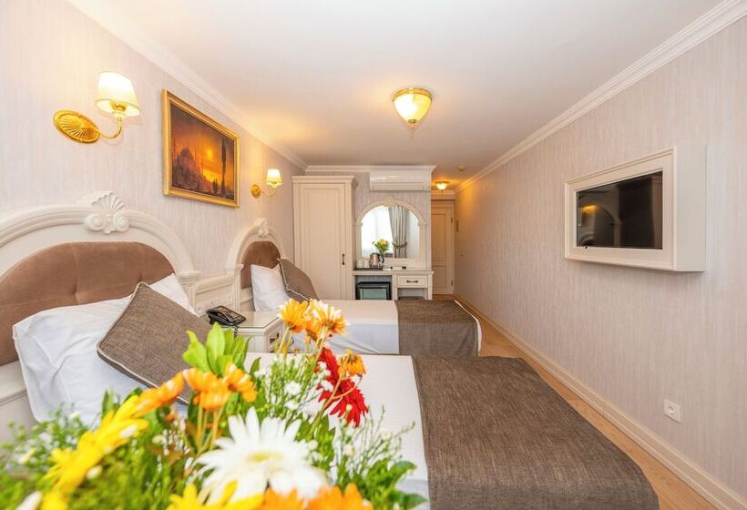 اتاق استاندارد, Arden City Hotel Special Category