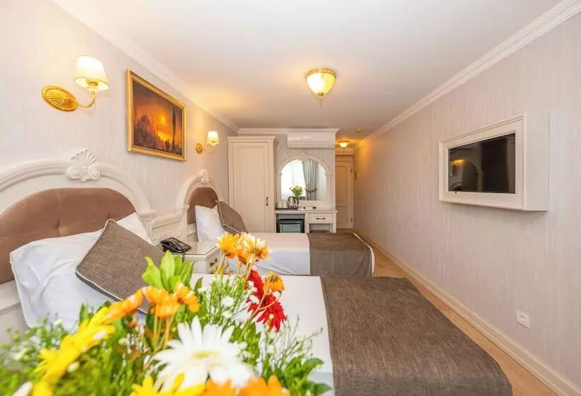 اتاق استاندارد, Arden City Hotel Special Category