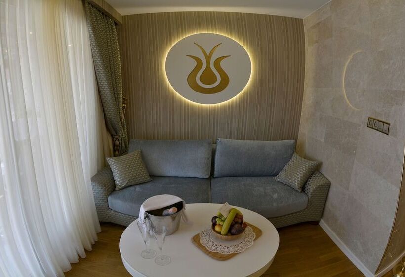 سوییت, Arden City Hotel Special Category