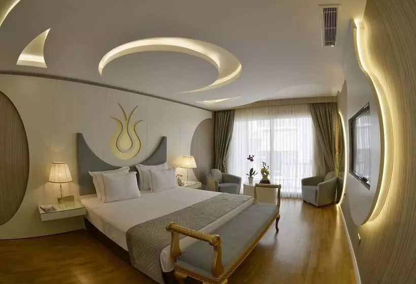 سوییت, Arden City Hotel Special Category