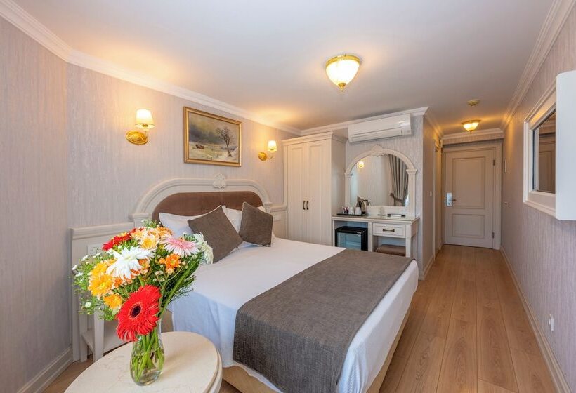 اتاق استاندارد, Arden City Hotel Special Category