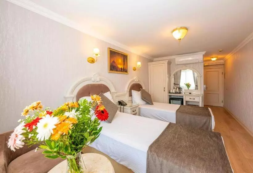 اتاق استاندارد, Arden City Hotel Special Category