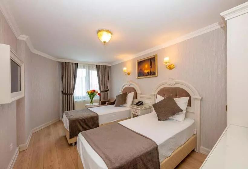 اتاق استاندارد, Arden City Hotel Special Category