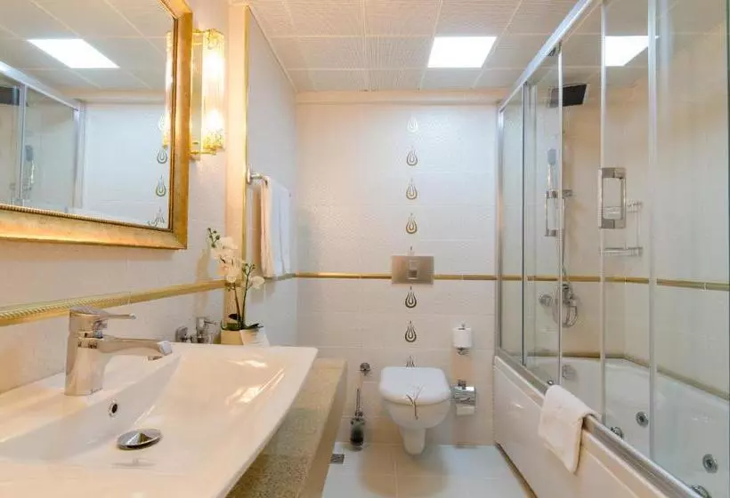 اتاق استاندارد سه نفره, Arden City Hotel Special Category