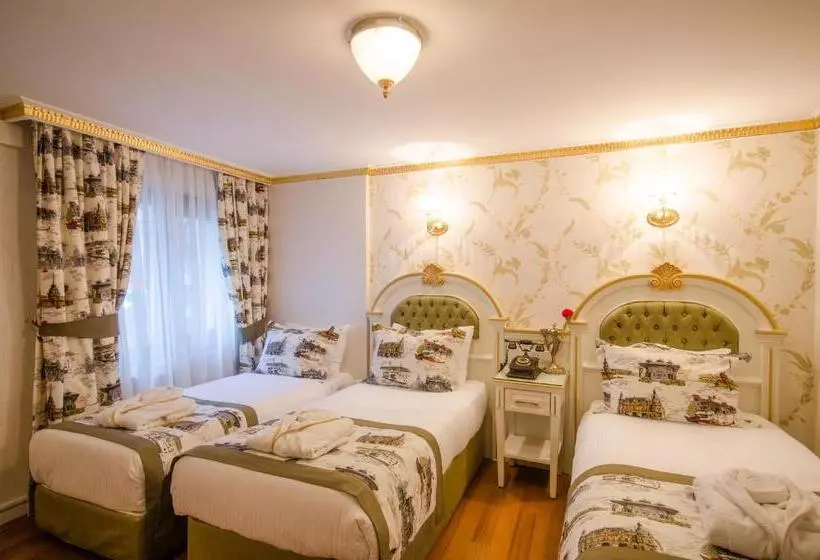 اتاق استاندارد سه نفره, Arden City Hotel Special Category