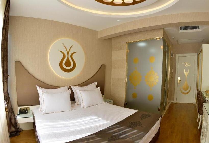 اتاق سوپریور, Arden City Hotel Special Category