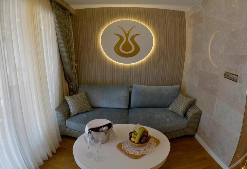 سوییت, Arden City Hotel Special Category