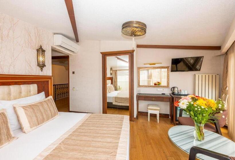 اتاق لوکس, Arden City Hotel Special Category