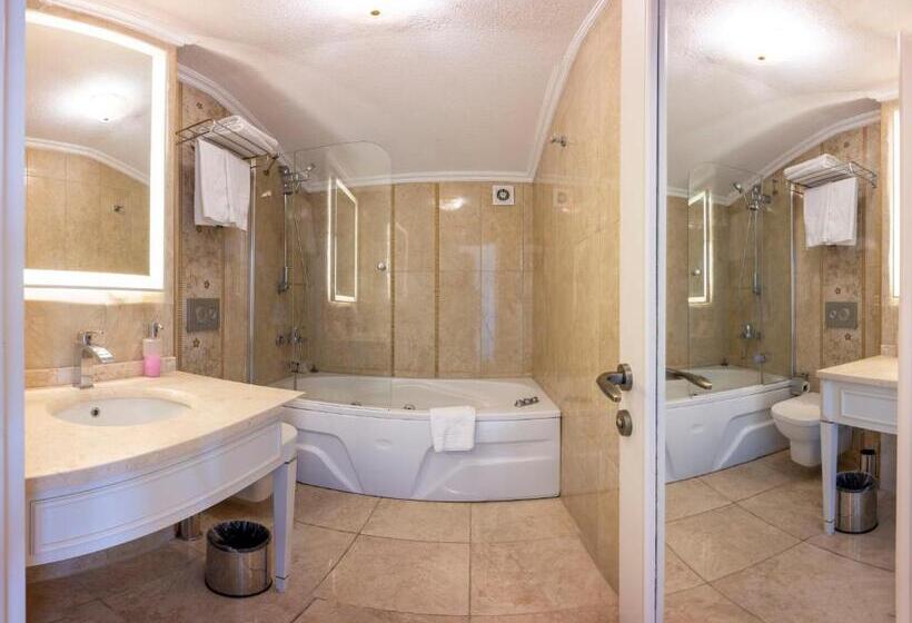 اتاق لوکس, Arden City Hotel Special Category