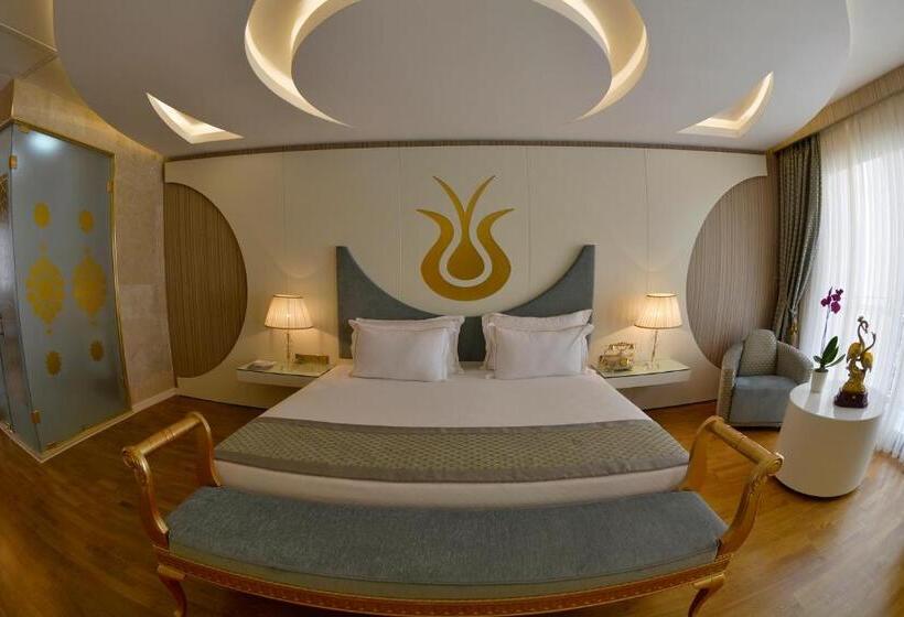 سوییت, Arden City Hotel Special Category