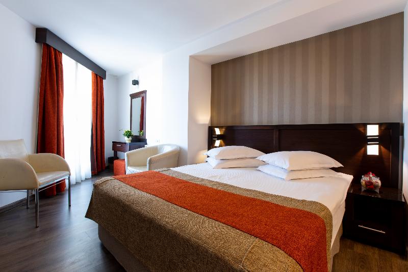 Standard Room, Duke Armeneasca City Center   Ex Tempo