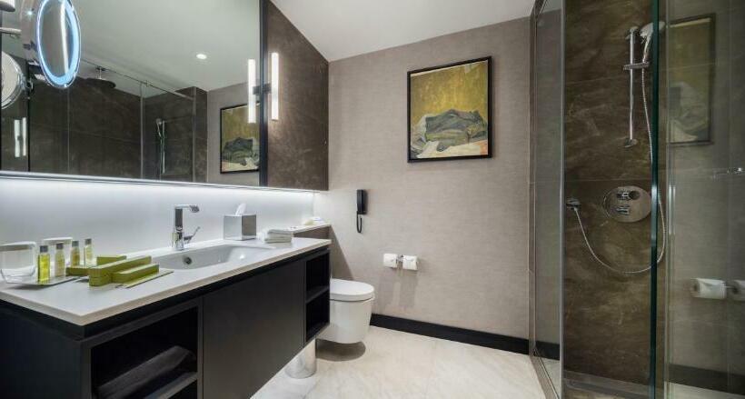 デラックスルーム, Hilton Istanbul Maslak