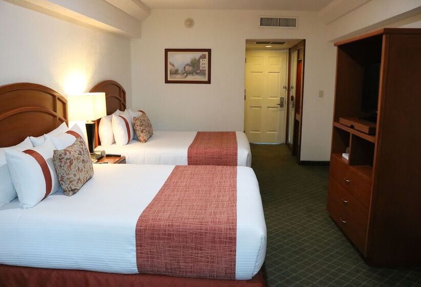 Номер Deluxe, Mision Pachuca