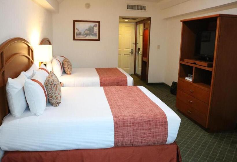 Номер Стандарт, Mision Pachuca