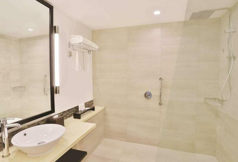 اتاق داخلی دلوکس, Radisson Blu Resort Fiji